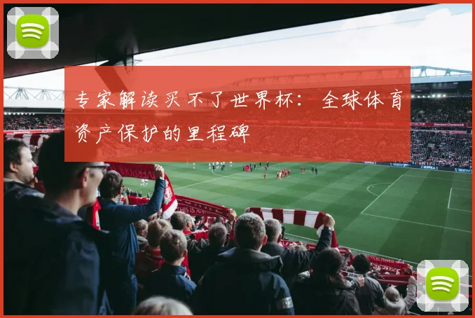 专家解读买不了世界杯：全球体育资产保护的里程碑