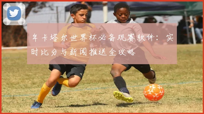年卡塔尔世界杯必备观赛软件：实时比分与新闻推送全攻略