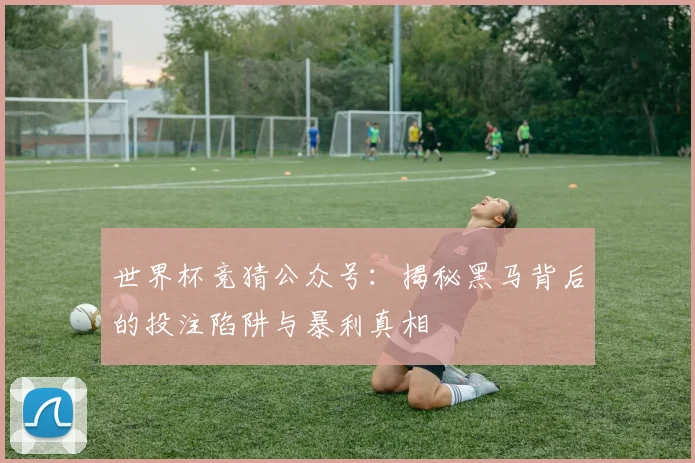 世界杯竞猜公众号：揭秘黑马背后的投注陷阱与暴利真相