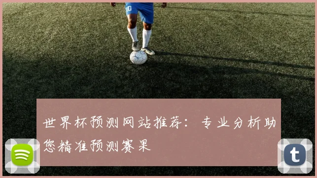 世界杯预测网站推荐：专业分析助您精准预测赛果