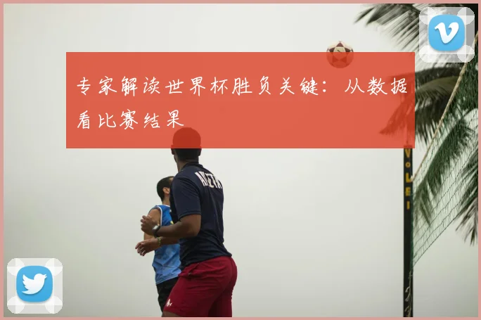 专家解读世界杯胜负关键：从数据看比赛结果