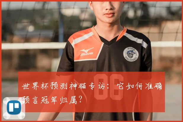 世界杯预测神猫专访:它如何准确预言冠军归属?