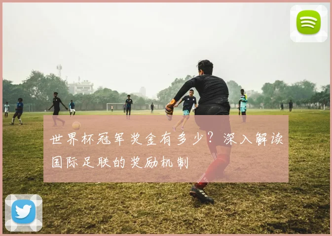世界杯冠军奖金有多少？深入解读国际足联的奖励机制