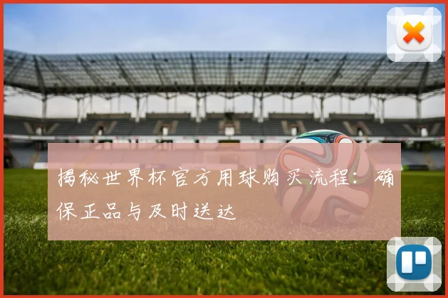揭秘世界杯官方用球购买流程：确保正品与及时送达