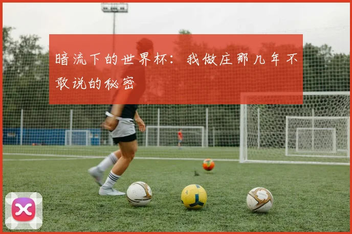 暗流下的世界杯:我做庄那几年不敢说的秘密