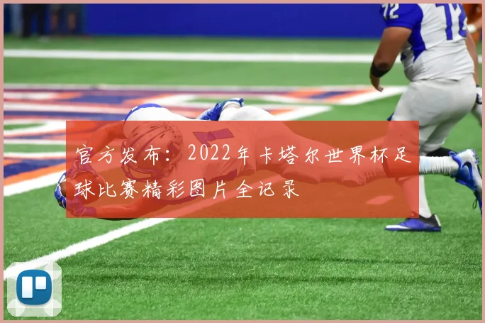 官方发布：2022年卡塔尔世界杯足球比赛精彩图片全记录
