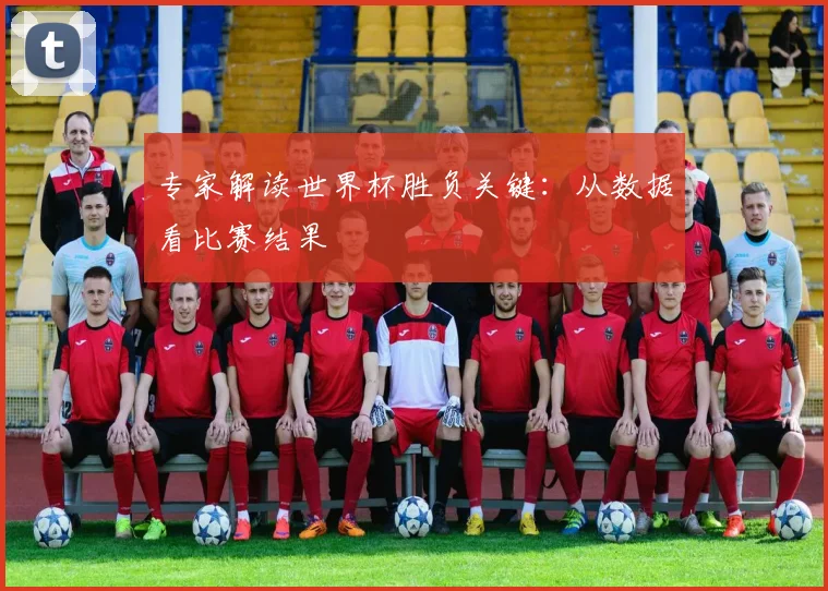 专家解读世界杯胜负关键：从数据看比赛结果