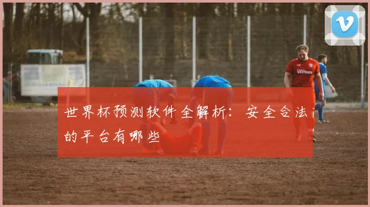 世界杯预测软件全解析:安全合法的平台有哪些