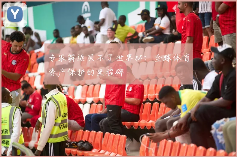 专家解读买不了世界杯：全球体育资产保护的里程碑