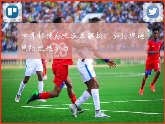 世界杯博彩吧深度解析：如何规避风险理性参与
