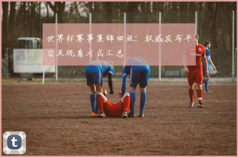 世界杯赛事集锦回放：权威发布平台及观看方式汇总