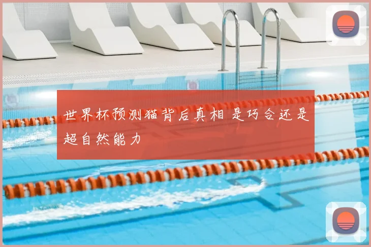 世界杯预测猫背后真相 是巧合还是超自然能力