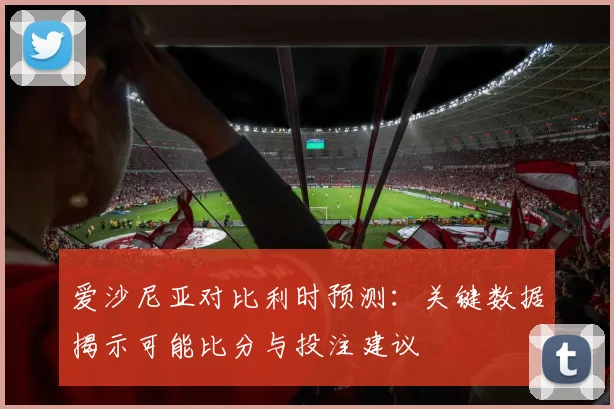 爱沙尼亚对比利时预测：关键数据揭示可能比分与投注建议