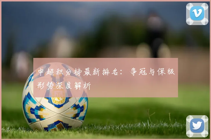 中超积分榜最新排名:争冠与保级形势深度解析